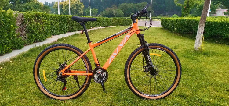 beautiful mountain bike